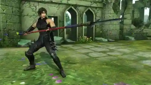 ps4无双全明星装备插图