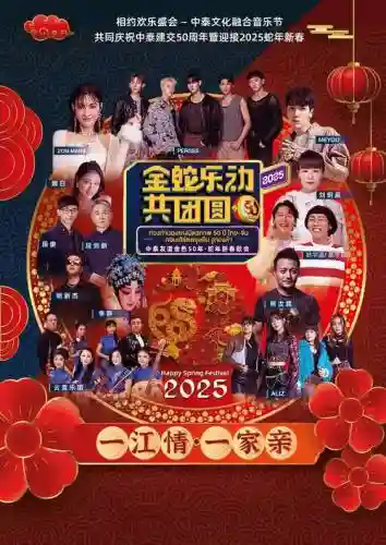 年会阵容海报