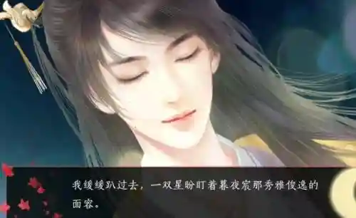 帅哥我来也王爷攻略插图