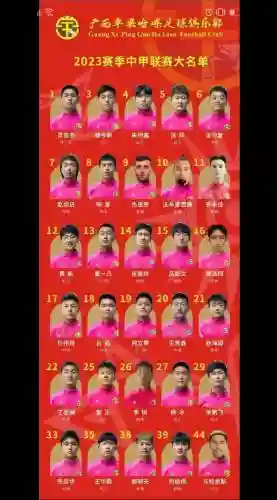 阵容名单搜索插图