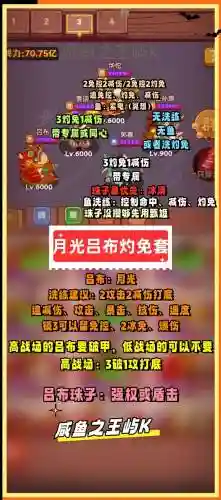 月光确定阵容