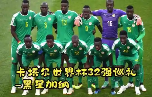 加纳阵容特点插图