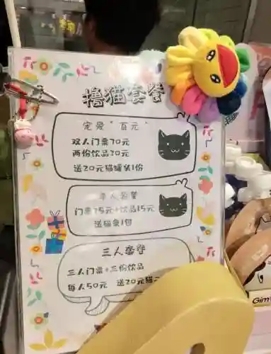 猫咖啡店喜好攻略