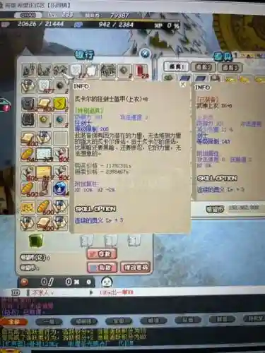 希望OL猎人装备图片