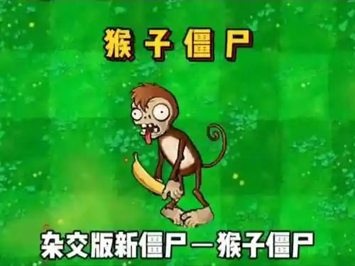 僵尸猴子阵容_1插图