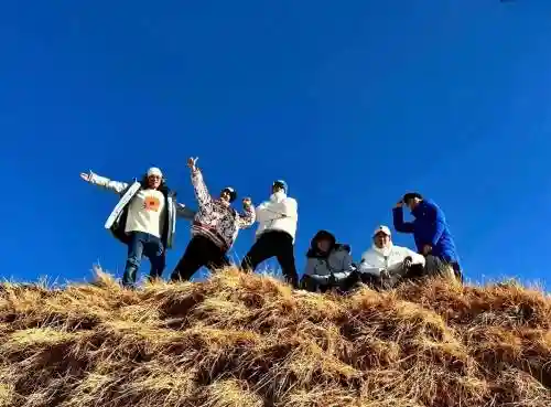 群雕阵容搭配图片