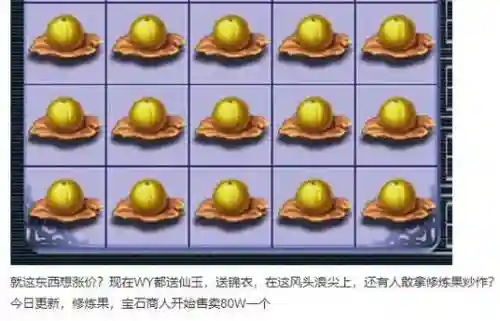 梦幻西游20修炼果插图