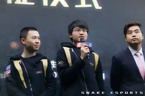 snake阵容搭配