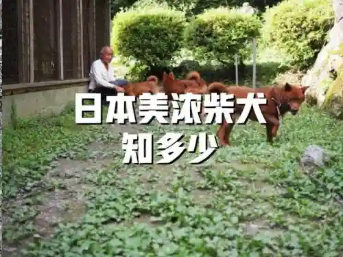 美浓攻略