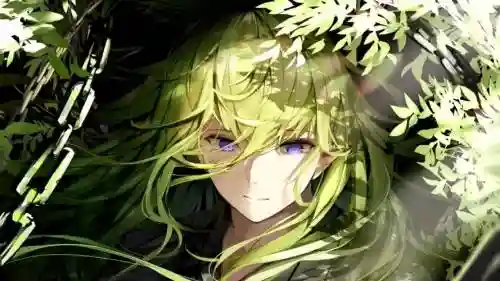 fate恩奇都技能本在哪插图