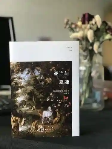 亚当与夏娃4通关攻略