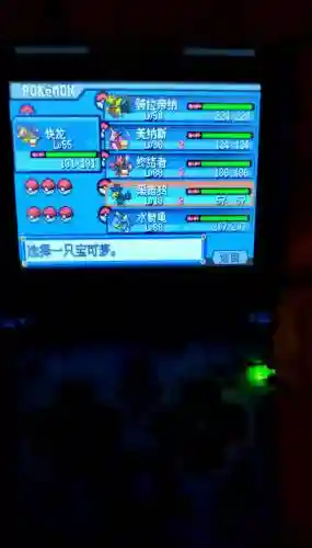 口袋妖怪白金通关攻略视频插图