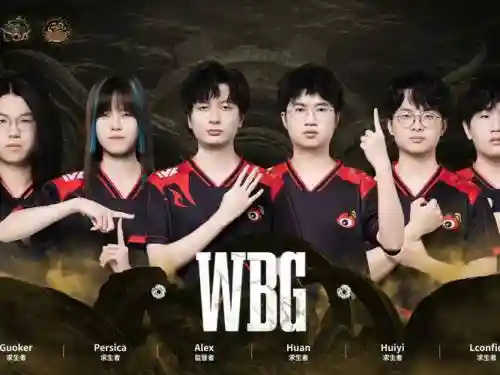 wbg阵容推荐_2
