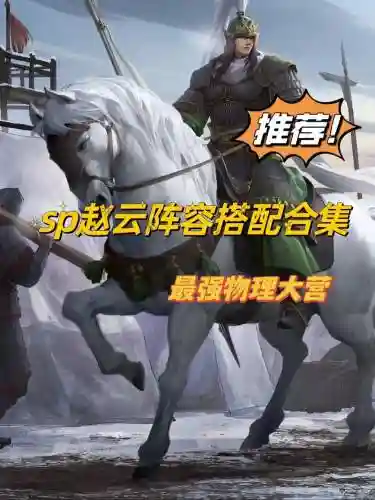 蛇皮赵云阵容搭配_3插图