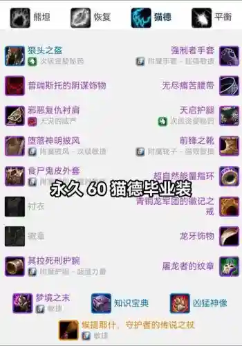 魔兽世界60版本猫德装备插图