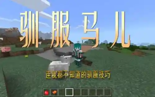 我的世界怎么给马装备