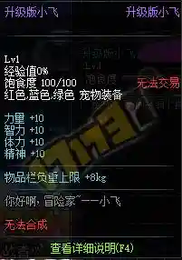 技能宝珠腰带