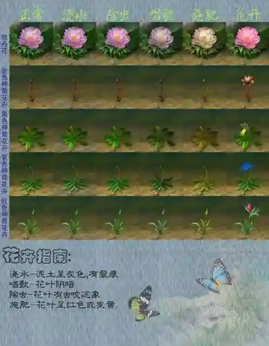 武林群侠传攻略怎么补生命插图