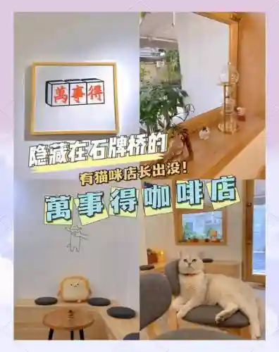 猫咖啡店喜好攻略插图