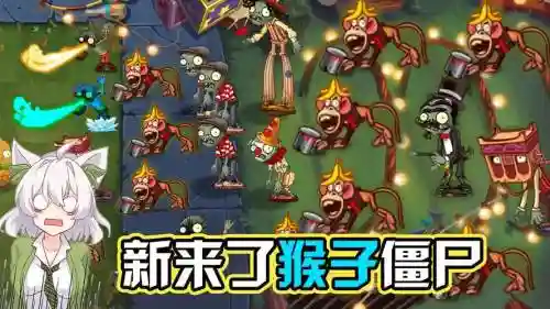 僵尸猴子阵容_1