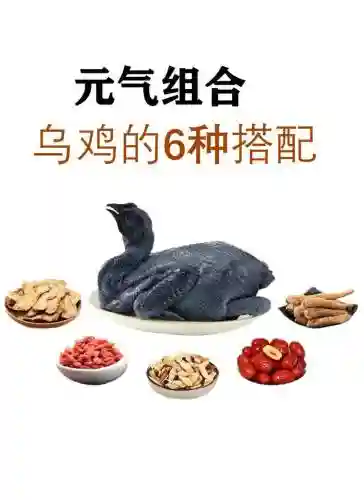 乌鸡搭配阵容插图
