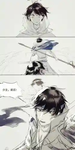 刘禅赵云搭配阵容