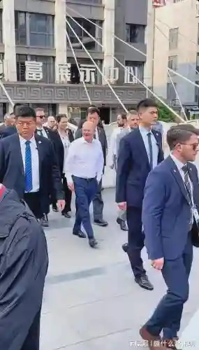 首相保镖阵容搭配插图