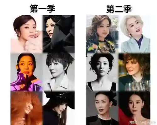 姐姐阵容对比_1