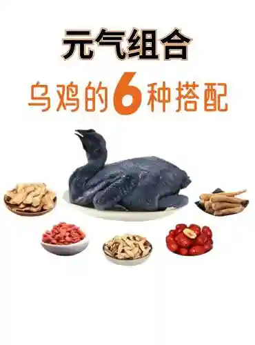 乌鸡搭配阵容