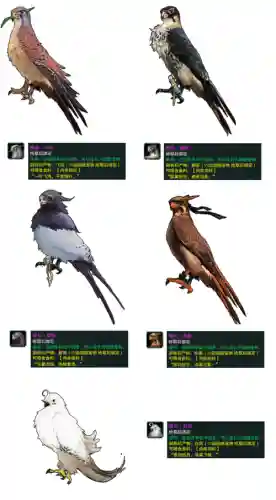 丐帮隼任务技能插图