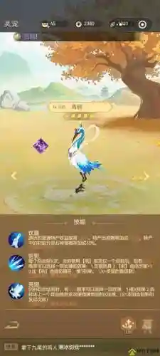 碧血剑手游开区攻略_1插图