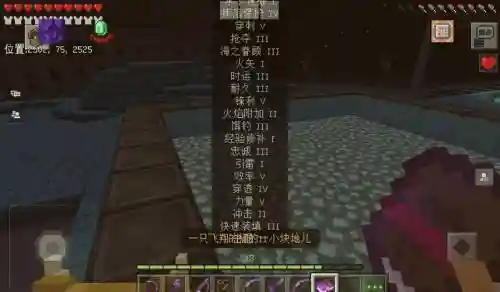 附魔了30次的装备吗_1