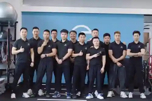 2019最佳教练阵容搭配