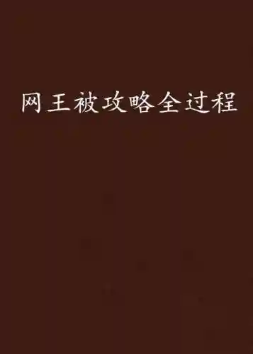 网王被攻略全过程插图