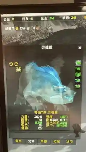 哪个灵魂兽技能好_1