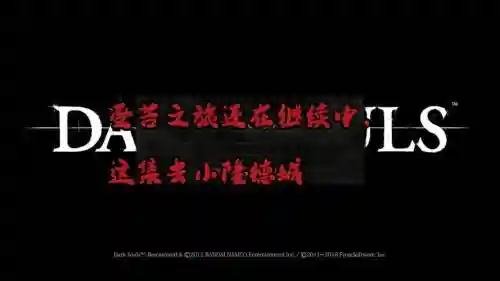黑暗之魂文字攻略，黑暗之魂文案插图