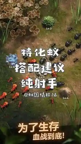 射手蚂蚁搭配阵容，射手技能搭配插图