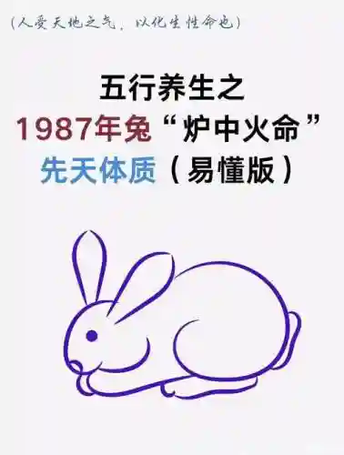 火狐和冰兔技能，2018春节宠物选火狐还是雪兔