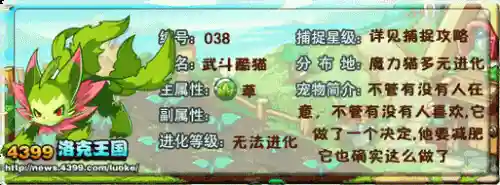 洛克王国武斗酷猫的技能搭配，洛克王国武斗酷猫用什么技能