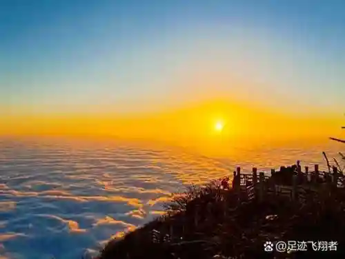 天竺活动攻略，天竺特性怎么解锁