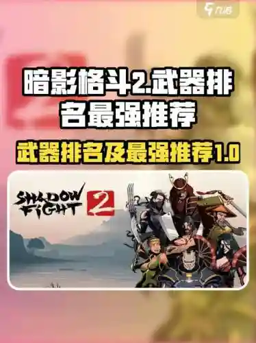 暗影格斗2武器最高等级，暗影格斗2武器最高等级是多少