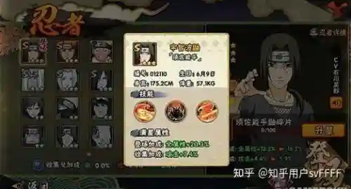 须鼬的搭配阵容，须佐鼬值得招募吗插图