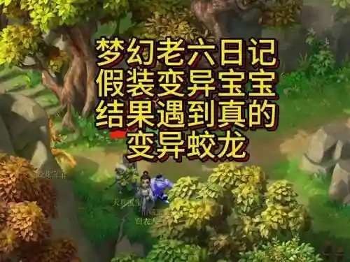 梦幻西游直播洗变异蛟龙，梦幻西游 洗变异插图