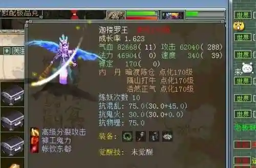 迦楼罗王带什么技能书，迦楼罗王饰品插图