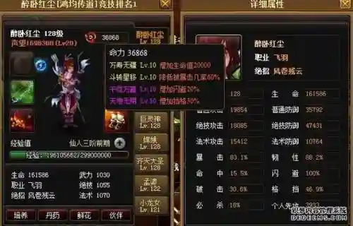 神仙道飞羽朱雀装备，神仙道飞羽注重绝技还是武力