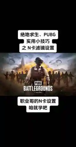 吃鸡攻略.，吃鸡攻略刺激战场如何发现敌人插图