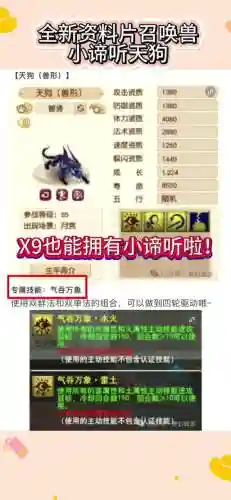 梦幻西游手游宠物顶技能，梦幻西游手游宠物技能排序