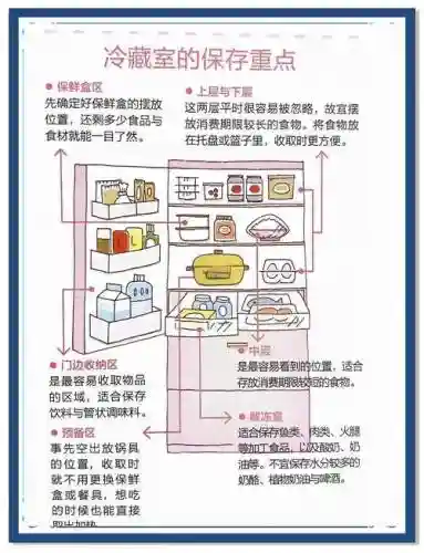 站冰箱的装备是怎样的，冰箱物品摆放需要注意哪些事情插图