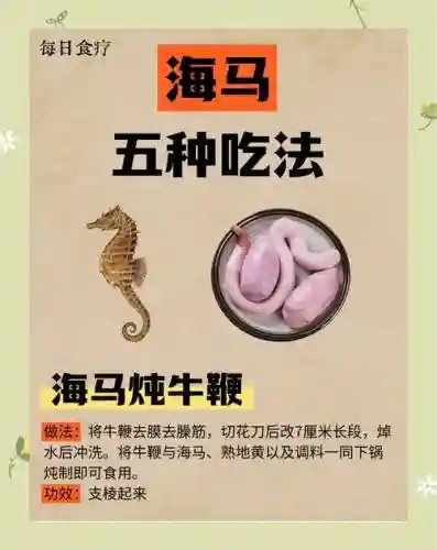 梦幻西游正月十五海马价格，梦幻西游海马的功效与作用吃法