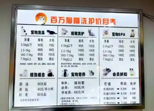 猫咖啡店喜好攻略，猫咖啡店赚钱吗插图